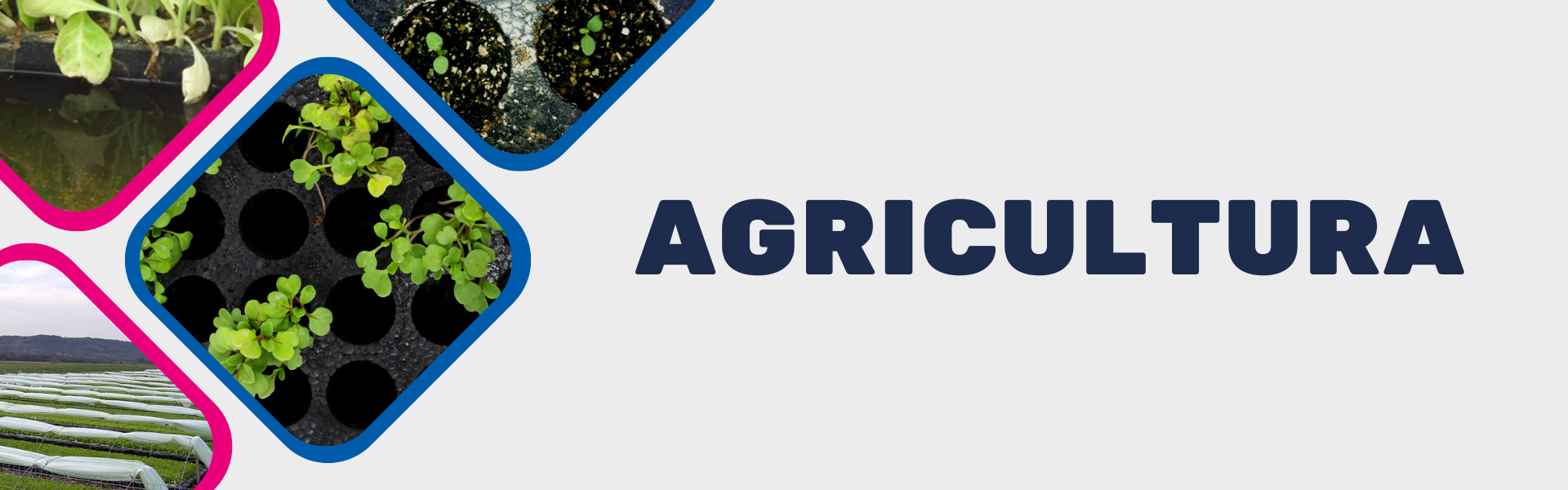 Banner - Agricultura